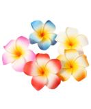 GSHLLO 10 Pcs 7cm Multicolor Hawaiian Hair Clip Beach Foam Flower Headpieces for Wedding Party Accessories - Buy Online on GoSupps.com