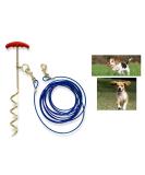 AL-FAHMI 30ft(9m) Heavy Duty Dog Tie Out Cable And Stake Out Dog Spiral In Ground Stake Puppy Pet Outdoor Tie Out Lead Leash (30FT Cable With Stake) - Buy Online on GoSupps.com