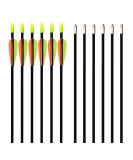 GPP 28-inches Fiberglass Archery Target Arrows - Practice Arrow or Youth Arrow for Recurve Bow BLACK - Buy Online on GoSupps.com