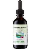 Maxi Health Organic Echinacea Supreme Liquid Extract with Vitamin C - 2 fl oz Immune Support Supplement - Buy Online on GoSupps.com