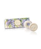 Handmade Italian Wisteria Soap - 3 Round Pieces 100g Each | Artisan Fiorentino Soap for Luxurious Skincare - Buy Online on GoSupps.com
