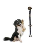 Poochie Bells Dog Training Doorbell - Cold Nose Warm Heart for House Training & Walking - Buy Online on GoSupps.com