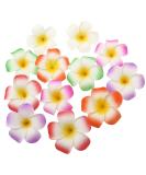 Frcolor 12-Piece 3.5 Hawaiian Plumeria Flower Hair Clips for Women - Beach Party Wedding Decoration (White Purple Green Rose Red Orange) - Pack of 12 - Buy Online on GoSupps.com
