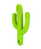 Cactus Teether Baby Toothbrush | Self-Soothing Pain Relief Teething Toy for Babies | Natural Organic BPA-Free | Green - Buy Online on GoSupps.com