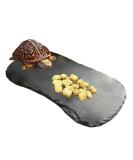 Tfwadmx Reptile Basking Platform Tortoise Rock Plate Feeding Food Bowl Dish Feeding Slate Turtle Bathing Resting Platform for Lizard Gecko Bearded Dragon Chameleon Snake Frog 11''x5.5'' natural - Buy Online on GoSupps.com