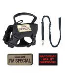 Shop Tactical Pet Leash & Cat Dishes - Durable Stylish International Shipping - Buy Online on GoSupps.com