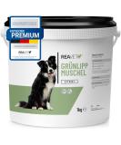 Reavet Green Lip Shell Extract Powder 1kg for Dogs & Horses | High Dose Green-Lip Mussel Powder for Osteoarthritis | BARF Feed Additive 1000g - Buy Online on GoSupps.com