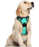Rabbitgoo Medium Dog Harness - No Pull Adjustable Breathable Control Harness for Large Dogs - Reflex Stripes Safe Guide in Mint Green (1 Pack) - Buy Online on GoSupps.com