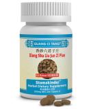 Xiang Sha Liu Jun Zi Pian - Premium Herbal Supplement for Digestive Health | Buy Internationally - Buy Online on GoSupps.com
