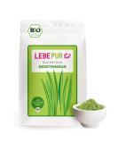 Leepur Organic Barley Grass Powder 1kg - Raw Vegan Gluten-Free Lactose-Free German Cultivation High-Quality Superfood - Buy Online on GoSupps.com