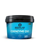 Buy BODYLAB24 Coenzyme Q10 Vegan Capsules - 200mg 120 Veg Caps Enriched with Selenium & Black Pepper Extract - 100% Vegan Daily Portions - Buy Online on GoSupps.com