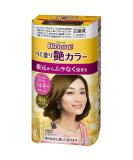 Kao Blaune Easy Painting Gloss Hair Color - 4 M Maron Brown (Green Tea Set) - Buy Online on GoSupps.com