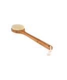 Bass Wooden Handle Boar Hair Brush - Natural Bristles - 1 EA - Buy Online on GoSupps.com