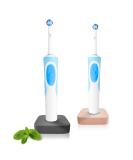Buy Dabblu Toothbrush Holder | Modern Concrete Design for Oral-B Electric Toothbrush | Anti-Slip Stylish Gray & Ros | Order Now for Elegant Bathroom Decor - Buy Online on GoSupps.com