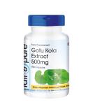 Fair & Pure Gotu Kola Capsules 500mg - Vegan - 180 Capsules - Zinc & Vitamin C - Pure Gotu Kola Extract - Buy Online on GoSupps.com