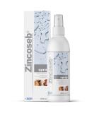 ICF | Zincoseb Dog Spray For Itchy Skin Relief | Anti Itch + Antifungal + Antibacterial Dry Dog Shampoo Spray And Conditioner For Pets With Sensitive Skin - Buy Online on GoSupps.com