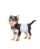 26pcs XS Disposable Dog Diapers for Male Dogs | Fits 15-33cm Waist | Puppy-White - International Shipping Available - Buy Online on GoSupps.com