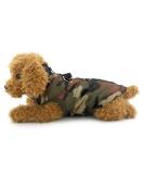 Shop Pegasus Winter Coat for Dogs & Cats | Warm Windproof Jackets for Chihuahua & Dackel | Padded Cold Weather Pet Clothing - Buy Online on GoSupps.com