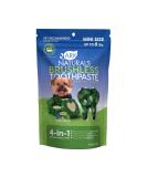 Brushless Toothpaste Mini Breed 4 Ounce (Pack of 1) - Buy Online on GoSupps.com