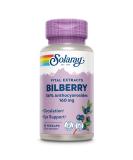 Solaray Bilberry Extract 160 mg, Eye Health & Circulation Support, 36% Anthocyanosides Plus Blueberry, Vegan, 30 VegCaps - Buy Online on GoSupps.com
