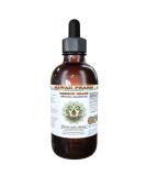 Oregon Grape Root Glycerite | Alcohol-Free Liquid Extract 4oz | Mahonia aquifolium Supplement - Buy Online on GoSupps.com