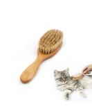 Lucybalu Cat Brush for Short & Long Hair | Natural Bristles & Wooden Handle | Best Cat Grooming Tool | Fellbrush & Katzenkamm - Buy Online on GoSupps.com