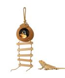 Aobuviou Gecko Coconut Husk Hut Coconut Bird Nest Reptile Coconut Hide with Ladder Natural Reptile Hideouts Bird Coconut Shell Coconut Hide for Reptiles Bird Small Animal - Buy Online on GoSupps.com