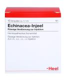 Buy Echinacea Injeel Ampoules - 10 Hours | Boost Immunity & Wellness | International Shipping - Buy Online on GoSupps.com