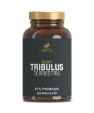 Buy Vitaciv Tribulus Terrestris 1500 mg | 240 Caps - High-Dose Bulgarian Extract with L-Arginine Ginseng Maca Zinc & B6 for Strength Athletes - International Shipping Available - Buy Online on GoSupps.com