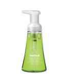 Foaming Hand Wash - Green Tea & Aloe 10 oz Pump Bottle | 6-Pack | International Shipping Available - Buy Online on GoSupps.com