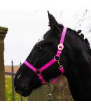 Buy Durable Pink Halter for Warmblood & Thoroughbred Horses - Adjustable & Tearproof Stable & Pasture Use - Buy Online on GoSupps.com