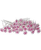 Onwon 40 Pieces Rose Flower Rhinestone Hair Clips Crystal Hair Pins for Bridal Wedding Party Daily Life Women and Girls Hair Jewelry Acessories  with Storage Bag (Pink) - Buy Online on GoSupps.com