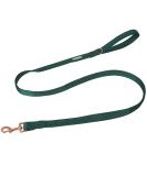 Lionet Paws Dog Leash - Silk Leash for Small Medium Large Dogs Matching Collars for Girls and Boys M Leash (Pack of 1) Green - Buy Online on GoSupps.com