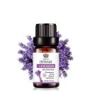 10ml Natural Lavender Essential Oil - Aromatherapy Diffuser Oil for Home & Yoga | Undiluted & Pure - Buy Online on GoSupps.com