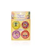 Buy Island Soap & Candle Works Lip Balm Tins Moisturizing & Natural Lip Care - International Shipping Available - Buy Online on GoSupps.com