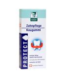 Ralf Baders Health Baders Protect Sugar-Free Dental Care Chewing Gum with 100% Xylitol - 20 Mint Squares (37g) for Optimal Oral Health - International Shipping Available - Buy Online on GoSupps.com