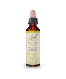 Bach Original Flower Remedies, Mustard for Joy, Natural Homeopathic Flower Essence, Holistic Wellness and Stress Relief, Vegan, 20mL Dropper - Buy Online on GoSupps.com