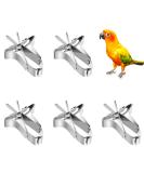 5-Piece Parrot Food Feeder Clips - Metal Vegetable Holder & Fruit Accessories for Bird Cages - Buy Online on GoSupps.com