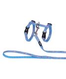 Nobby Cat Set - Heart Light Blue with Flower & Red Accents | International Shipping Available - Buy Online on GoSupps.com
