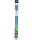 Aqueon Full Spectrum Daylight T5 Fluorescent Bulb - 8 Watts | Black - Buy Online on GoSupps.com