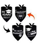 Whaline Graduation Dog Bandana 2 Pack - Reversible Triangle Bibs for Dogs & Cats | Adjustable & Washable Pet Kerchief Scarf for Everyday Wear & Parties - Buy Online on GoSupps.com