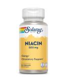 Solaray Niacin 500 mg - 100 Vegan Capsules for Heart Health & Energy - Buy Online on GoSupps.com