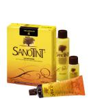 Buy Sanotint Hair Colour No. 4 Light Brown - 2 x 125ml | Global Shipping Available - Buy Online on GoSupps.com