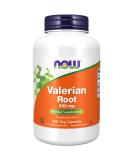 Now Foods Valerian Root 500 mg 250 Veg Capsules - Buy Online on GoSupps.com
