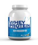 Katana Nutrition Whey Protein Powder - Vanilla Flavor | 26g Protein | 24 Servings | Gluten Free Non-GMO Lactose Free | Premium Quality eCommerce International Shipping - Buy Online on GoSupps.com