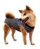 XXXL Dog Divider - Breathable Surgical Cone Alternative for Wound & Skin Protection | Anti-Losing E-Neck Band | 1-Pack - Buy Online on GoSupps.com