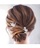 Catery Pearl Crystal Wedding Hair Pins Bridal Hair Pieces - Pack of 2, Silver Accessories for Women - Buy Online on GoSupps.com