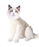 Cat Professional Recovery Suit - Surgical Recovery Shirt for Belly Wounds - Soft Medical Clothing for Cats - Cone Alternative - Orange M (1 Pack) - Buy Online on GoSupps.com