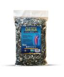 Ciatica Compuesto Herbal T 4 oz - Alivio Natural para el Dolor del Nervio Ci tico | Sciatic Nerve Pain Relief - Buy Online on GoSupps.com