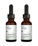 USDA Organic Vitamin B12 2000mcg Sublingual Liquid Supplement (2-Pack) - Vegan Methylcobalamin Drops - Natural Energy & Immune System Support - Buy Online on GoSupps.com